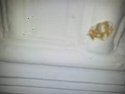fkillineybeforeinternal 1210.jpg